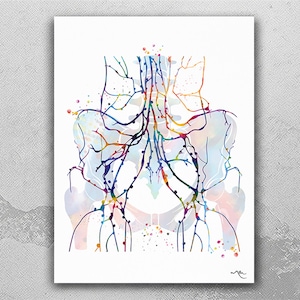 May include: A watercolour print illustrating the human lymphatic system. The artwork shows lymph vessels and nodes in vibrant colours, including blue, green, yellow, and purple. The anatomical illustration is set against a white background, offering a detailed view.