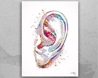 Ear Watercolor Print Human Ear Audiologist Gift Audiology Poster Science Art Ear Diagram Ear Poster Anatomical Office Decor Medical Art-1202