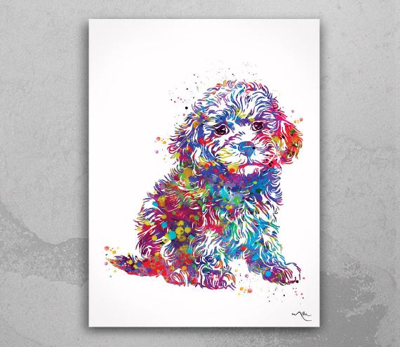Toy Poodle Watercolor Art Print, Colorful Dog Portrait-1487