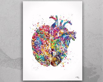 Heart and Brain Watercolor Print Medical Art Science Art Geek Nerd Neurology Wall Art Artistic Brain Left Right Brain Poster Wall Decor-733