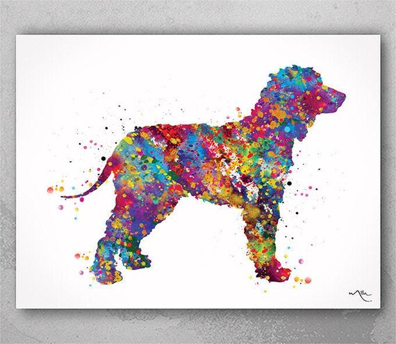 Irish Water Spaniel Watercolor Dog Art Print-1439