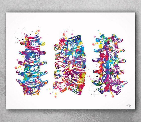 Lumbar Spine Watercolor Print, Vertebral Column Anatomy Art-1227