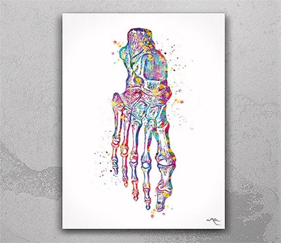 Foot Bones Watercolor Print | Medical Anatomy Art-706