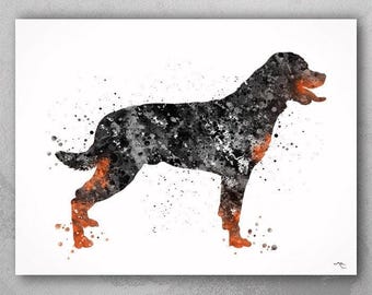May include: Watercolor painting of a Rottweiler dog in black and white with orange accents. The dog is standing on a white background.