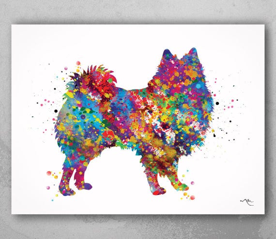 American Eskimo Dog Art Print | Colorful Watercolor Pet Portrait-1488