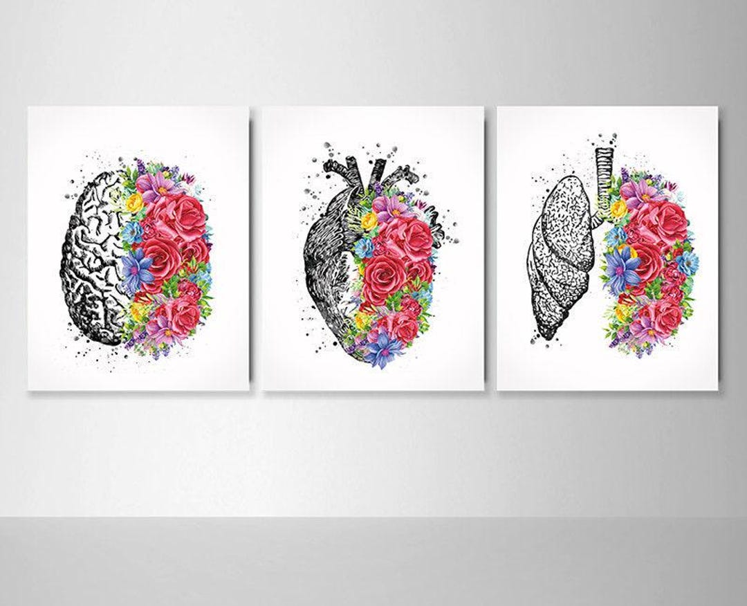 Human Brain Heart Lungs Set of 3 Watercolor Prints Medicine Nurse ...