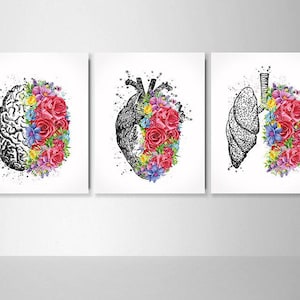 Human Brain Heart Lungs Set of 3 Watercolor Prints Medicine Nurse Office Decor Anatomy Art Science Medical Art Clinic Student Art Gift-2519
