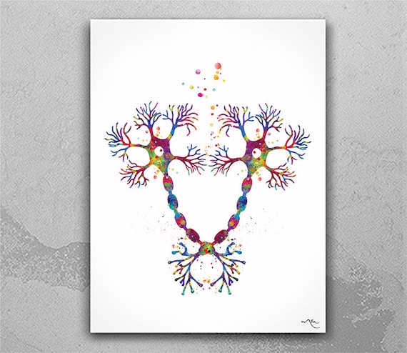 Motor Neuron Watercolor Print, Neurology Science Art Poster-1189