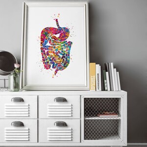 Digestive System Watercolor Print Human Organs Gastrointestinal Tract ...
