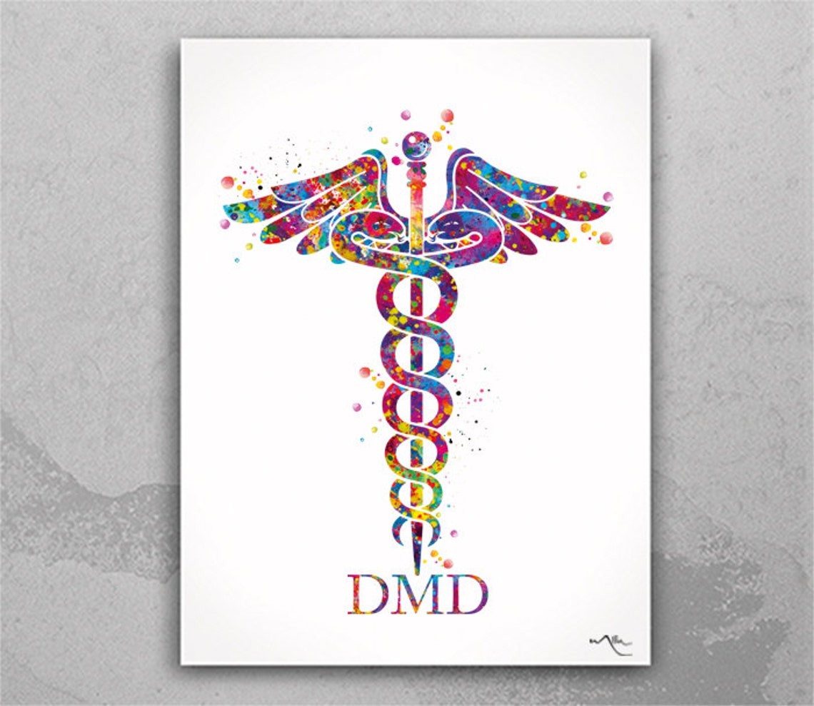 Dentist Caduceus Watercolor Print DMD Medical Art Dental Etsy