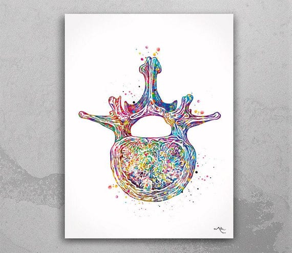 Lumbar Vertebra Watercolor Print, Medical Anatomy Art-1481