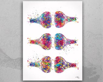 Synapses Watercolor Print, Neurology Art, Medical Decor-1097