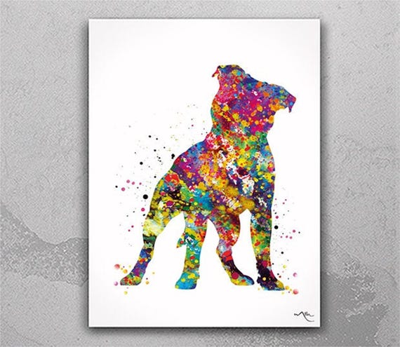 Watercolor Staffordshire Bull Terrier Dog Print-1630