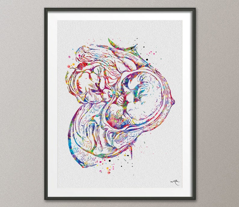 Pregnancy Art Watercolor Print Womb Pregnancy Anatomy  Clinic image 0