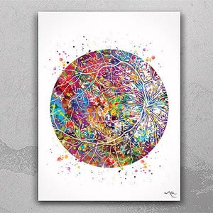 Retinal Vessels Watercolor Print Human Eye Optometrist Optician Poster Optic Medical Art Ophthalmology Blood Vessels Clinic Wall Art-328