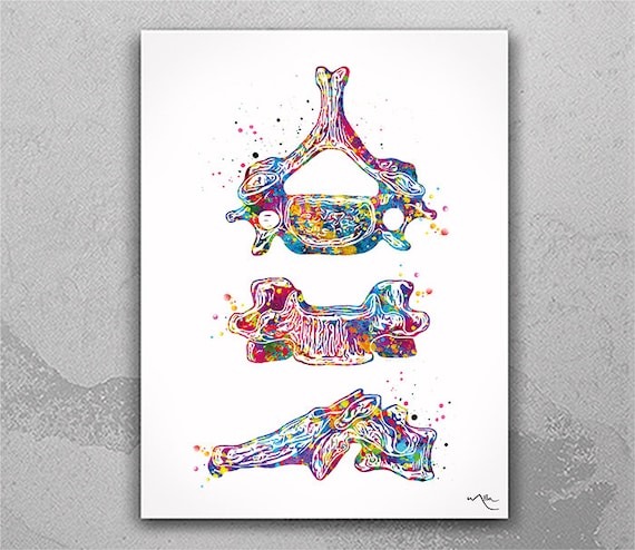 Cervical Vertebra Watercolor Print, Anatomy Art, Medical Decor-1475
