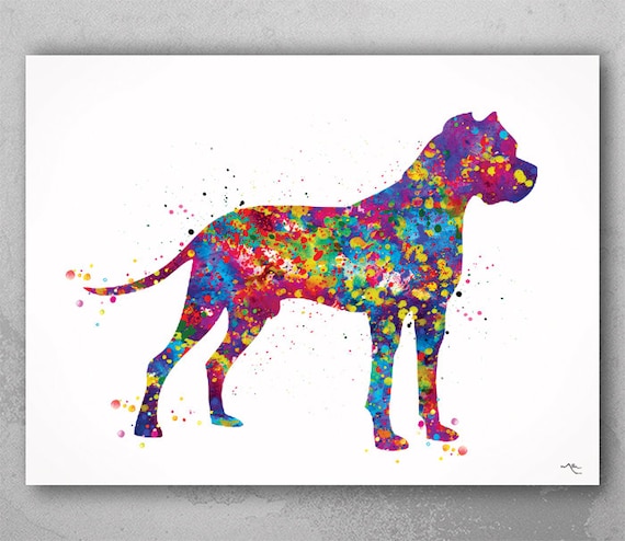 Dogo Argentino Art Print: Colorful Watercolor Dog Poster-1103