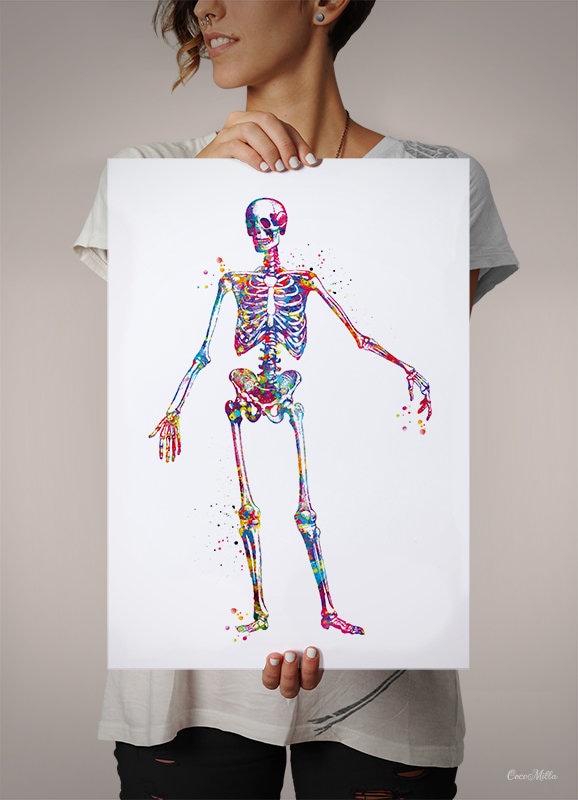 Human Skeleton Anatomy Watercolor Print Medical Art Science | Etsy UK
