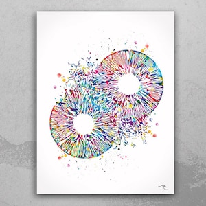Iris Art Watercolor Print Human Eye Optometrist Optician Poster Doctor Art Medical Art Ophthalmology Blood Vessels Clinic Wall Art Decor-703