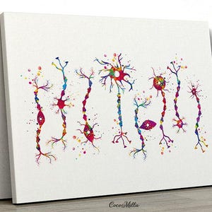 Neuron Types Art Watercolor Print Science Poster Neurology Medical Art ...