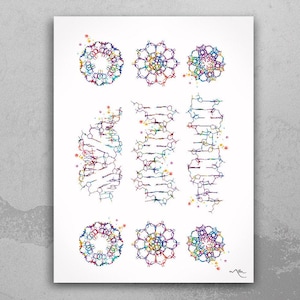 DNA Helix Molecule A-B-Z-DNA Watercolor Print Medical Wall Art Medical Art Science Art Genetic  Doctor Laboratory Biology DNA Art Gift-1078