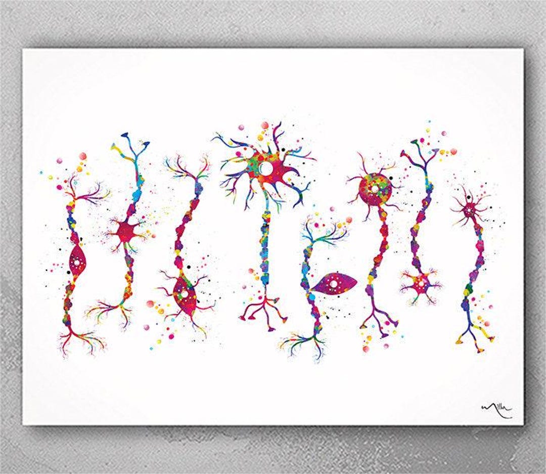 Neuron Types Art Watercolor Print Science Poster Neurology Medical Art ...