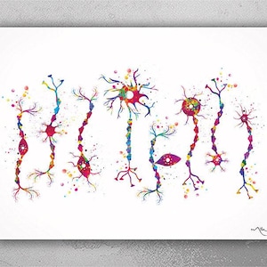 Neuron Types Art Watercolor Print Science Poster Neurology Medical Art Brain Graduation Neuroscience Neurologist Office Clinic Decor-380