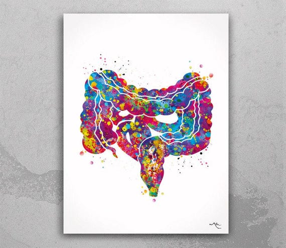 Intestine Watercolor Print | Digestive System Medical Art-843