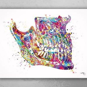Human Jaw Anatomy Watercolor Print Orthognathic Surgery Mandible and Maxilla Medical Art Dental Art Clinic Dentistry Office Dentist Decor-97