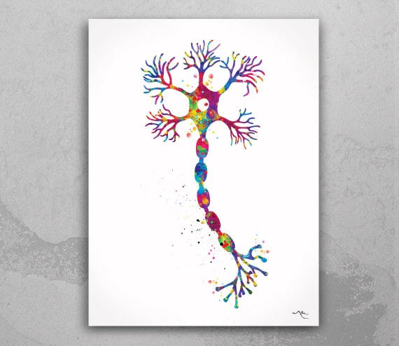 Motor Neuron Watercolor Print - Neuroscience Art, Clinic Decor-1059
