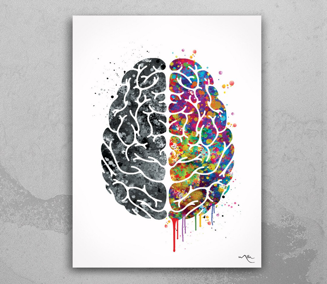 Creative Brain Watercolor Print Medical Art Science Art Geek