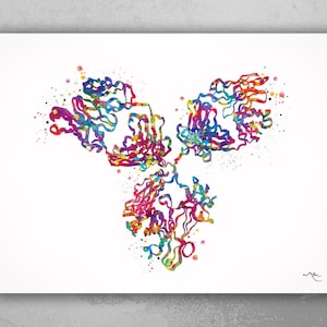 Antibody Structure Watercolor Print Antibodies Medical Art immunology Immunoglobulin immune system IgG CANVAS Doctor Office Clinic Art-1812