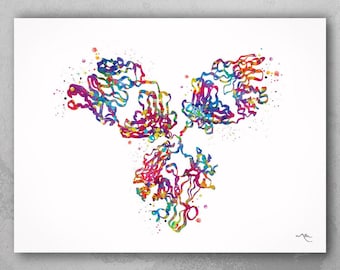 Antibody Structure Watercolor Print, Immunology Medical Art-1812