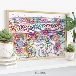 Meninges Watercolor Print Neuron Art Science Gift Neurology Nerve Cell ...