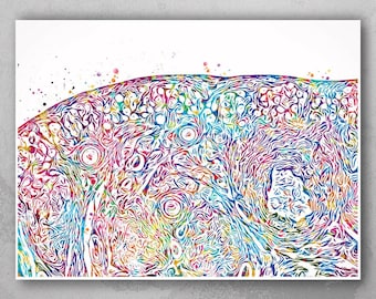 Ovary Histology Watercolor Print, Gynecology Anatomy Art-450