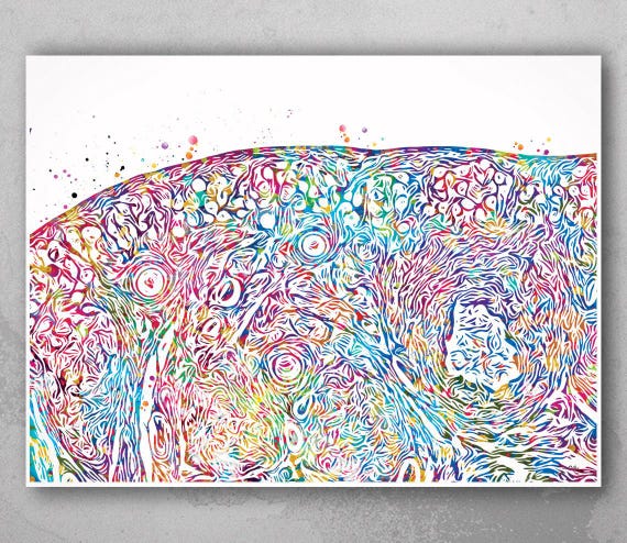 Ovary Histology Watercolor Print, Gynecology Anatomy Art-450