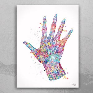 Hand Muscles Watercolor Print Skeletal Hand Bones Medical Art Anatomical Art Orthopedic Hand Surgery Anatomy Medical Office Print Clinic-418
