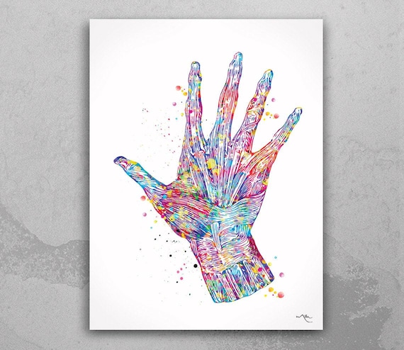 Watercolor Hand Anatomy Art Print, Skeletal Muscles-418