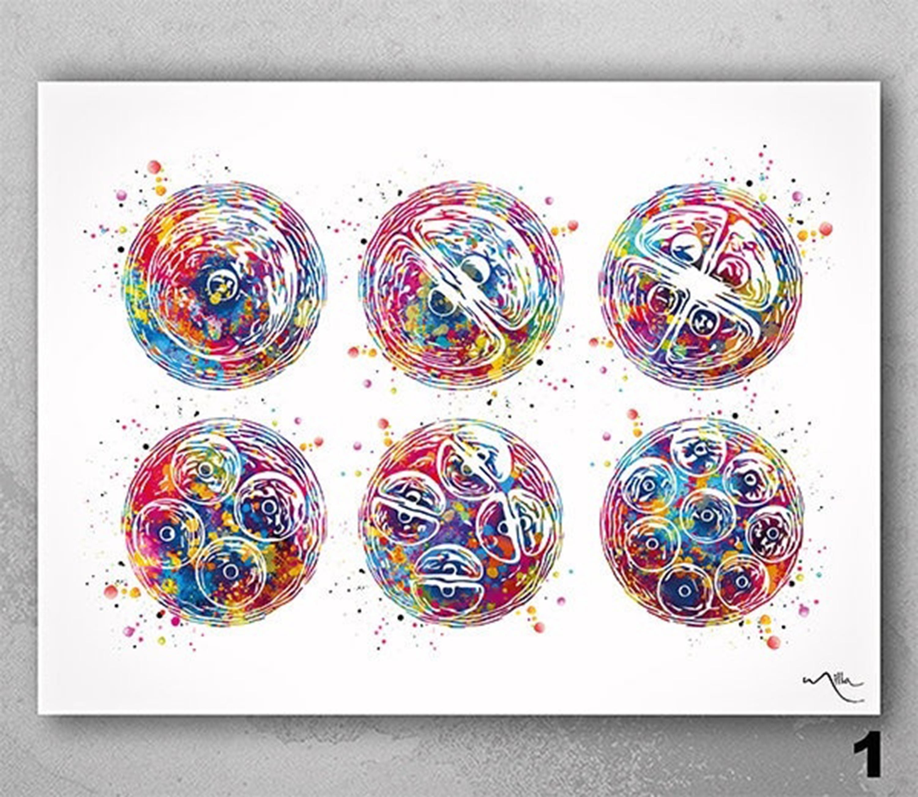 絵画 cell division Mitosis Watercolor Print | Cell Division Biology Art-2552 - Etsy