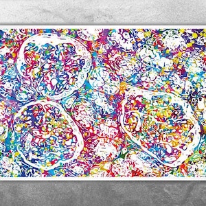 Human Kidney Tissue Anatomy Watercolor Print Organs Nephrology Clinic Decor Art Histology Urology Medical Art Doctor Urologist Art Gift-2723