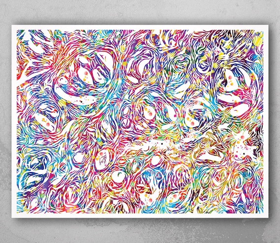 Prostate Histology Watercolor Print: Colorful Male Anatomy, Urology Clinic Decor-447
