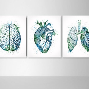 Human Brain Heart Watercolor Print Lungs Set of 3 Medicine Nurse Office Decor Anatomy Clinic Decor Science Medical Art Graduation Gift-2448