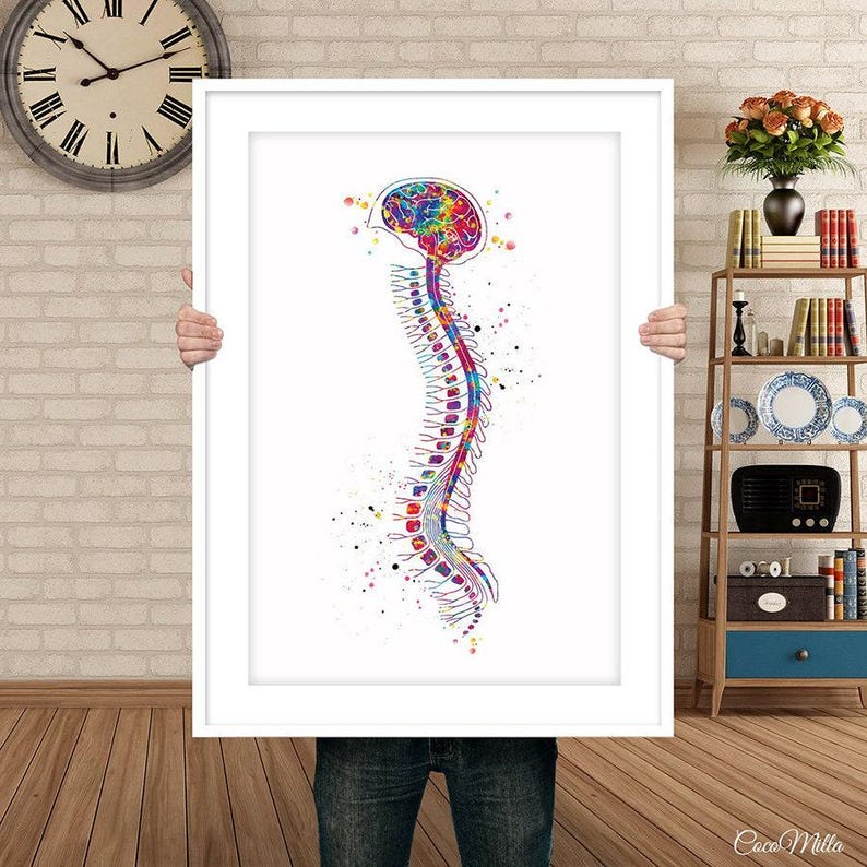 Brain and Spinal Cord Watercolor Anatomy Art Print-990 - Etsy