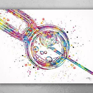IVF Art Watercolor Print Embryonic Art Gynecology Medical Art In Vitro Fertilization OBGYN Infertility Fertility Clinic Office Decor-1719