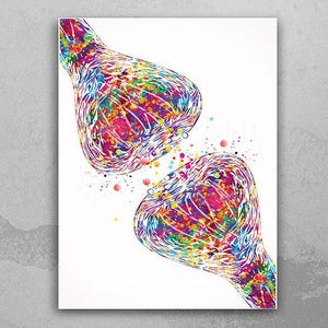 Synapse Receptor Watercolor Print Science Poster Neurology Art Neuroscience Medical Art Brain Graduation Gift Clinic Office Decor Gift-1337