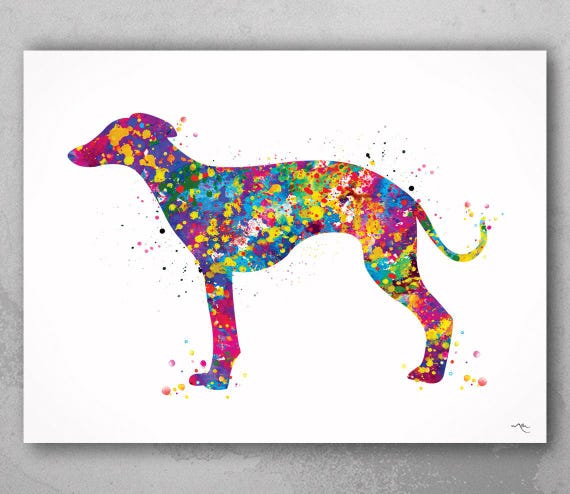 Whippet Watercolor Print, Colorful Dog Art-425