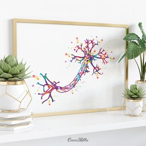 Nerve Cell Watercolor Print Science Poster Neurology Art Nerve Cell ...