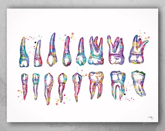 Dentist Art Watercolor Print Tooth Teeth Anatomical Dental | Etsy