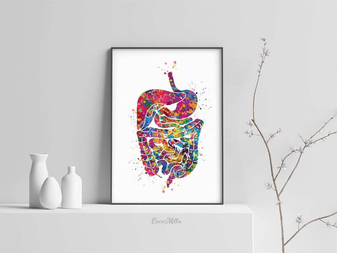 Digestive System Watercolor Print Human Organs | Etsy