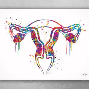 Uterus Watercolor Print Human Organs Gynecology Anatomical Clinic Decor Fallopian Tubes Graduaiton Gift OBGYN Medical Nurse Midwife Art-1034